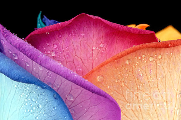 Rainbow Photograph